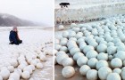 Vidéos sur l' Environnement