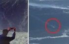 Vidéos sur le Surf