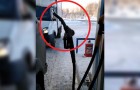 Video Video's over Rusland Rusland