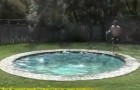 Vídeo de Piscinas