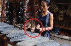 Vidéos sur le Vietnam