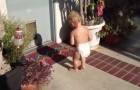 Video Schattige video's Schattig