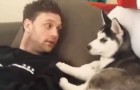 Vidéos de Petits Animaux