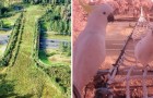 Vidéos Ingénieuses