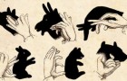 Video Illusionismo