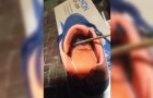 Vídeo de Aranhas