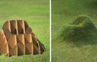 Video Giardinaggio