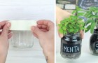 Video Tuinieren