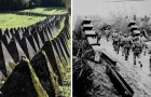 Video WWII