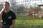 Video Video's Tijgers Tijgers
