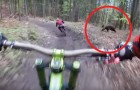 Vidéos de Bicyclette