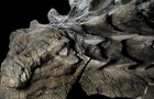 Video Archeologia