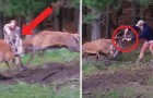 Video Video's Herten Herten