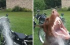 Vidéos de Motos