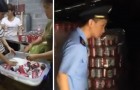 Vídeo de Cervejas