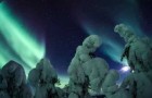 Vidéos sur la Nature