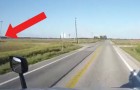Vídeo de Caminhão