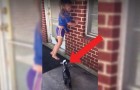 Video Video's van Geiten Geiten