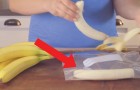 Video für Vegetarier