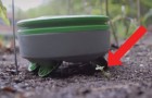 Vídeo de Robôs