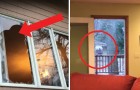 Video Überraschungsvideos Überraschungen