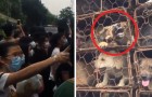 Video Cina
