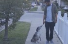 Video Etici
