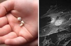 Video Medizin-Videos Medizin