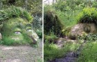 Video Giardinaggio