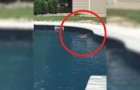 Vídeo de Piscinas