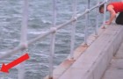 Video Salvataggi