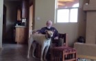 Video di Cani