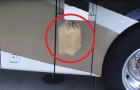 Video di Animali