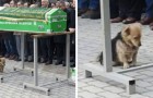 Video Emozionanti