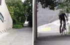 Vídeo de Bicicleta