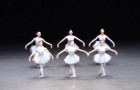 Video Video's Dansen Dansen