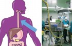 Video di Scienza