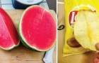 Video Leuke video's Leuke