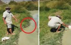 Vídeo de Crocodilos