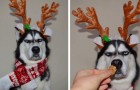 Vidéos sur Noël