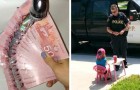 Vídeo do Canadá