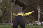Vídeo de Parkour