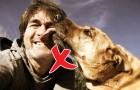 Video di Cani