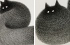 Video di Gatti