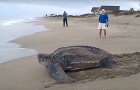 Video Mar