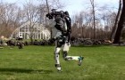 Video Robot