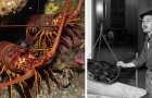 Vidéos de Mer