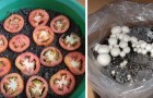 Video Gardening