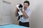 Video Guide
