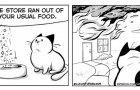 Vidéos de Chats